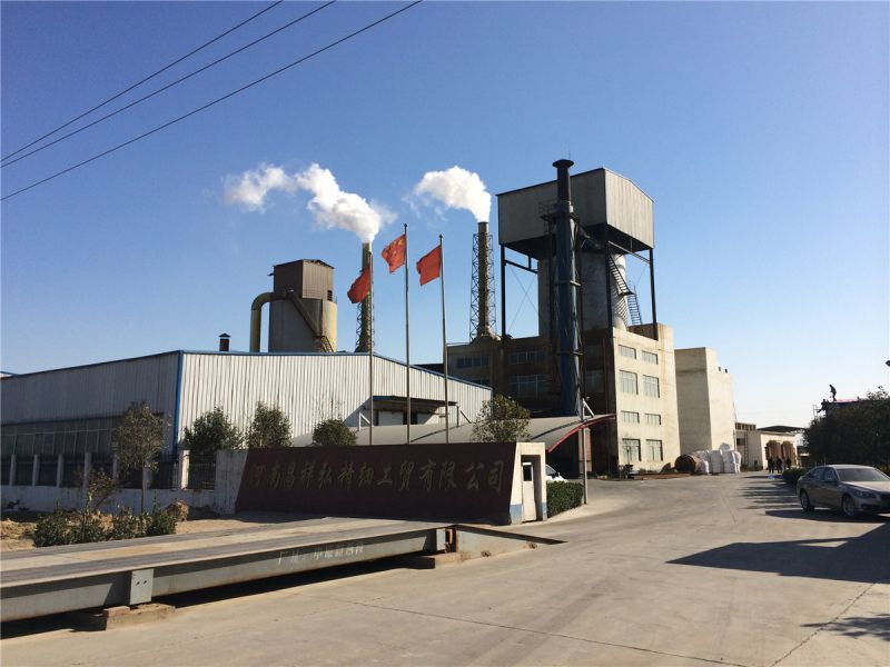 公司全景